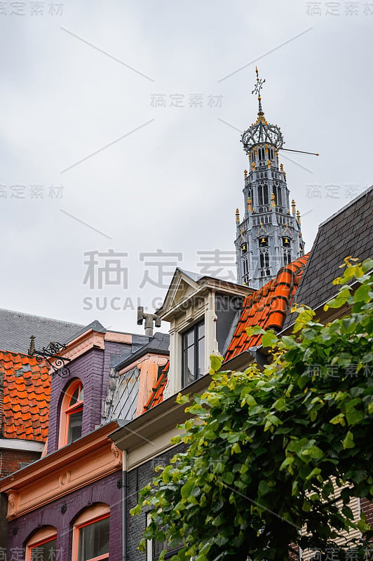 Grote Kerk(大教堂)在Grote Markt，哈勒姆的中心广场