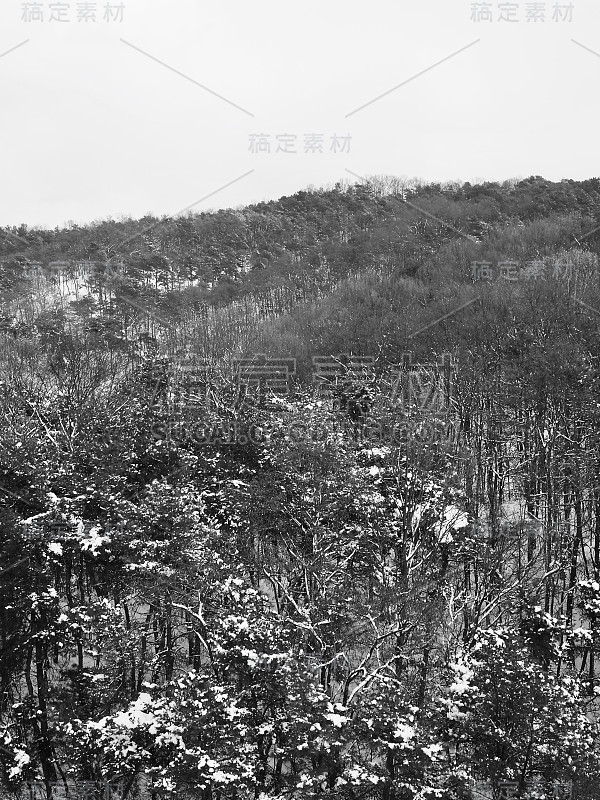 韩国雪山，晨光，清州，冬天，雪景