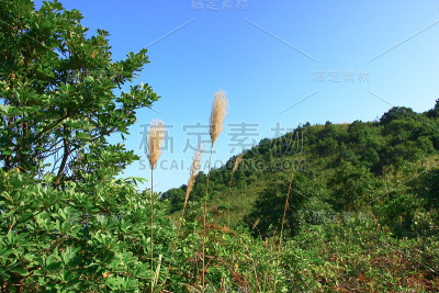 2008年12月21日，西贡高废物山顶郊游径