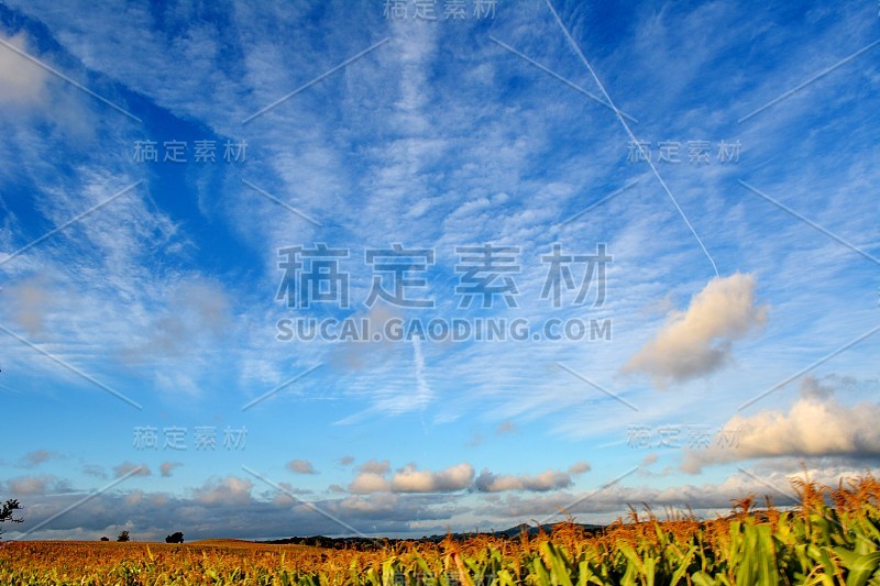 坎波阿雷格里景观