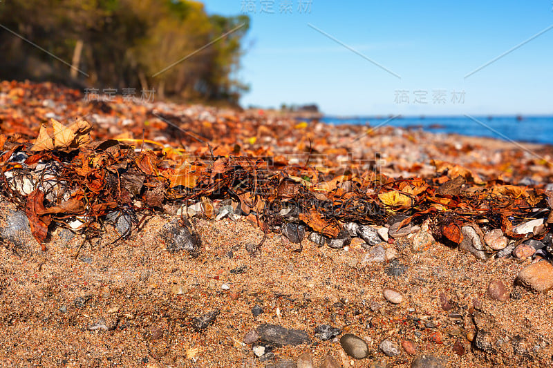 沙土波罗的海费马恩岛的一种由鹅卵石和沙子形成的海滩土壤