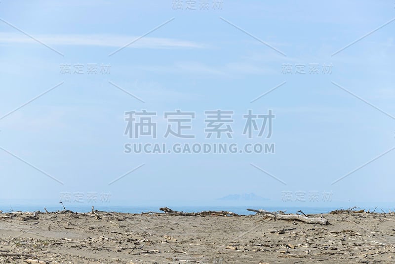 近海岸沼泽地公园海滩