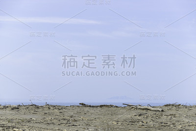 近海岸沼泽地公园海滩