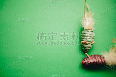 绿色背景与宠物玩具