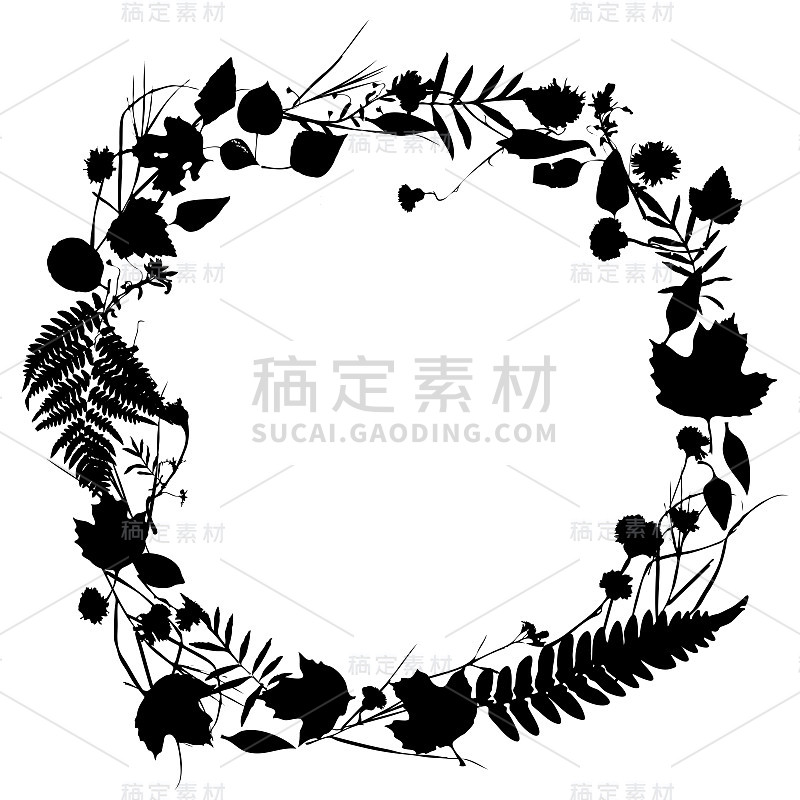 花圆框花圈，自然设计，以叶和花为元素。春夏设计的请柬，婚礼或贺卡。黑色剪影，白色背景。向量