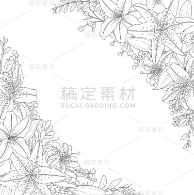 白色背景上的观赏花
