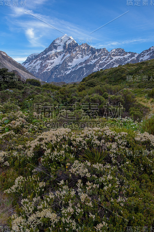 新西兰库克山国家公园的风景