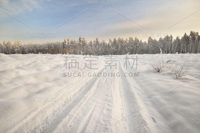 拉脱维亚的道路和白雪覆盖的树木