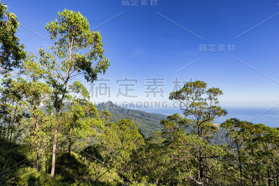 大多山徒步旅行