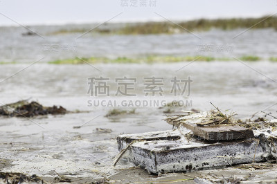 浮木