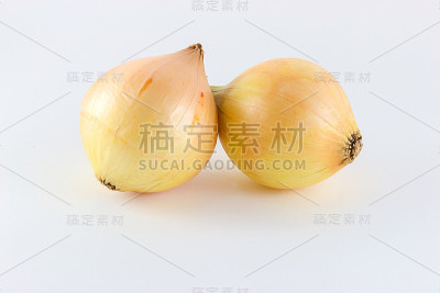 白色背景上的洋葱