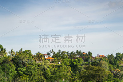 美丽的现代酒店之间棕榈树库存照片