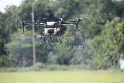 无人机在飞行中喷洒杀虫剂。