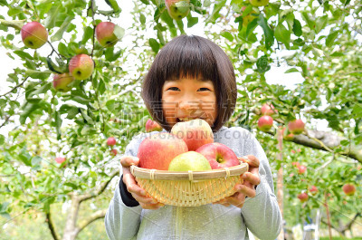 女孩们喜欢摘苹果