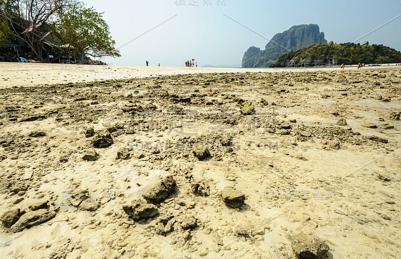 观赏美丽的海洋沙滩