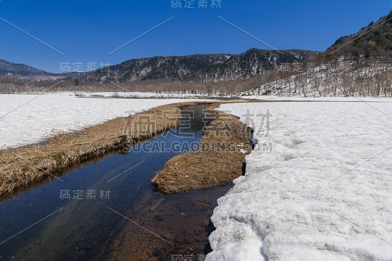 春天的Ozegahara沼泽地