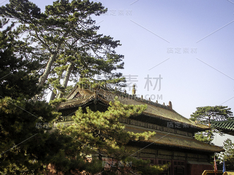 普陀中城寺