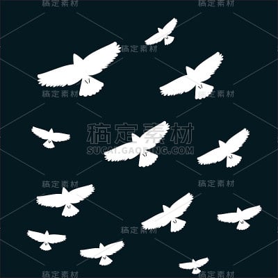 一群飞翔的鸟