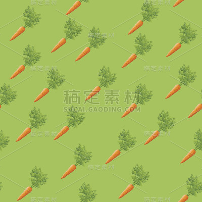 食物的模式。胡萝卜用树叶。