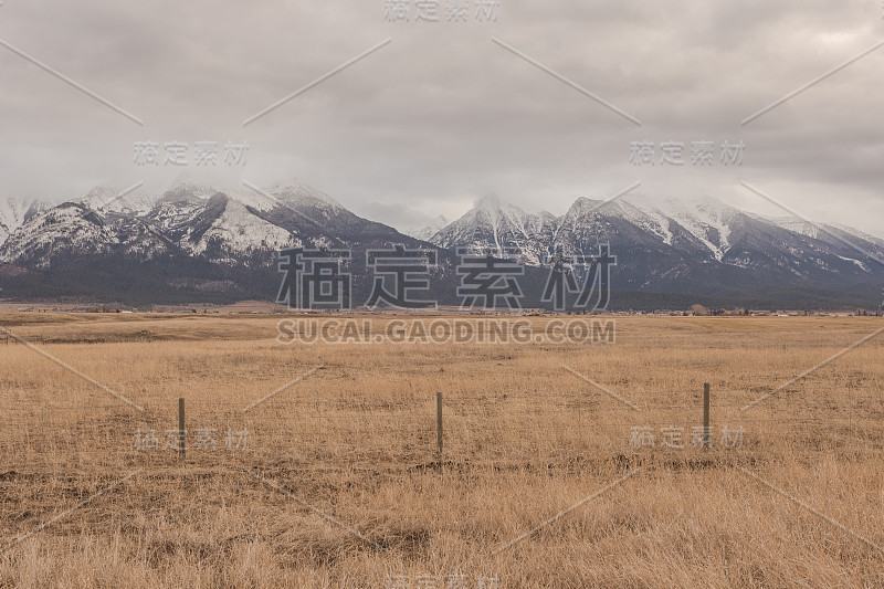 雪山和空草牧场与牛围栏