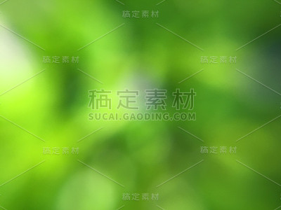 花树是为了以一种非常模糊的方式出现。