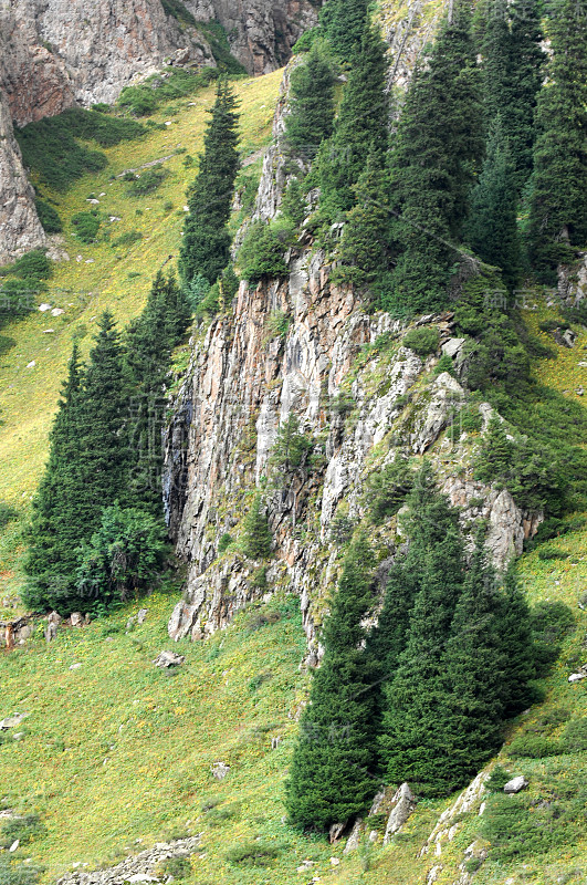 夏天山，扎利斯基·阿拉图。高山，巨石。天山。阿拉木图