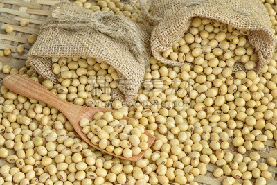 我是bean
