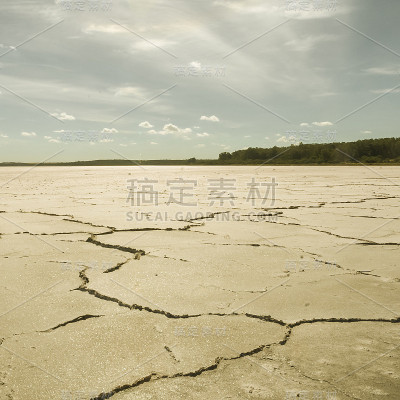 杜氏