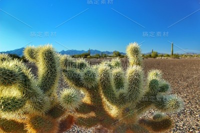 风景