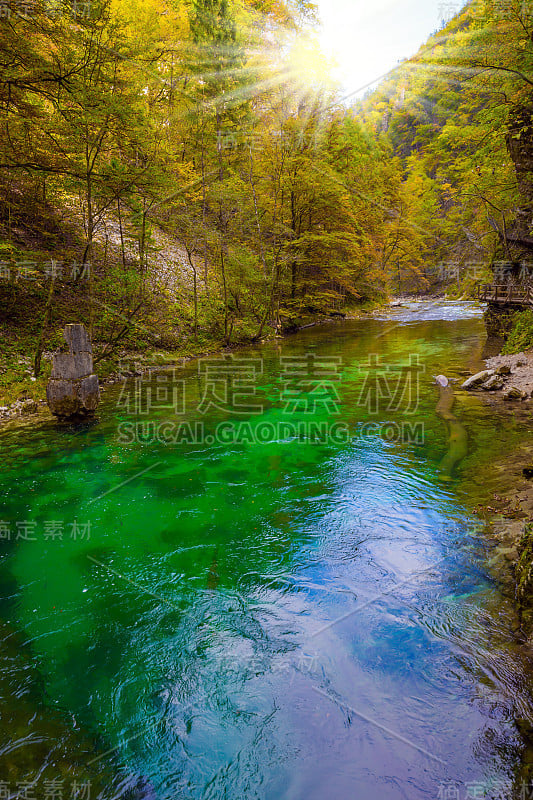 平静的死水