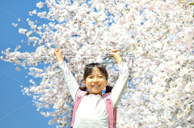 女孩和樱桃树