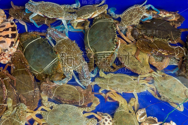 花蟹、青泳蟹、蓝甘露蟹、沙蟹、海梭子蟹。海鲜市场里成堆的新鲜青蟹。海鲜新鲜的背景。全龙虾配海鲜