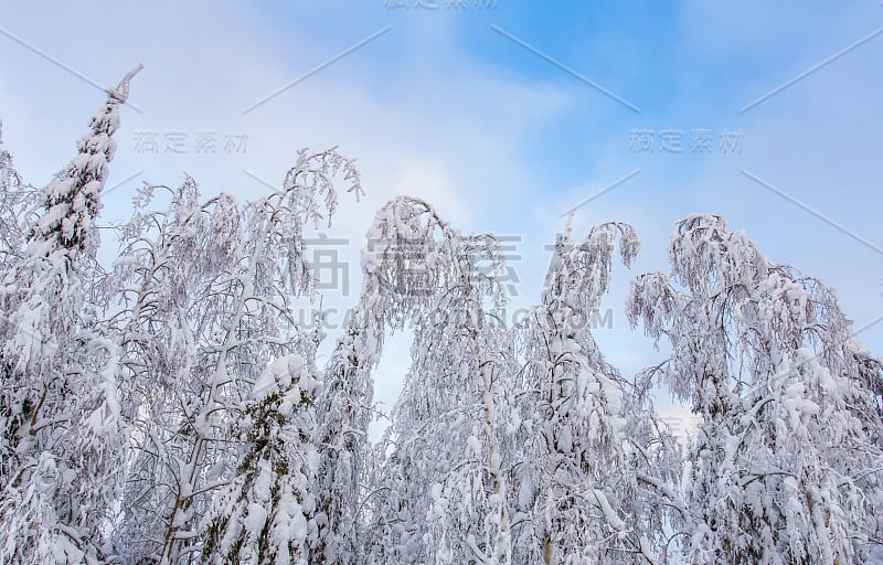 来自芬兰索特卡莫的大雪景观。