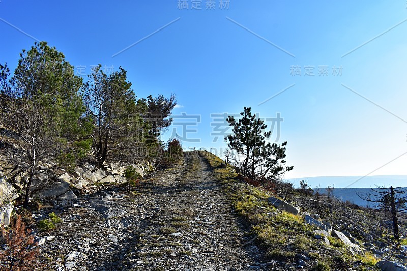 火烧山林/景观自然摄影/森林火灾后唤醒自然