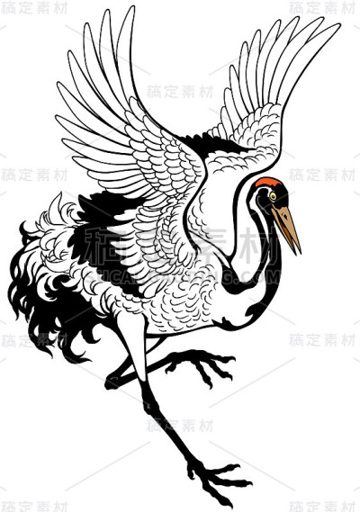 日本舞鹤