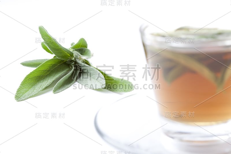 凉茶，新鲜鼠尾草在茶杯里，白色背景，孤立，