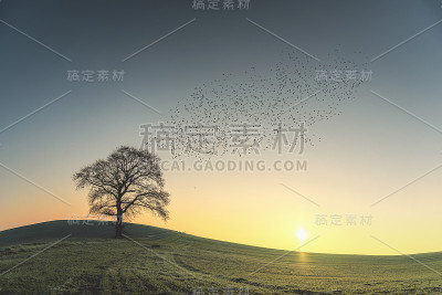 飙升的
