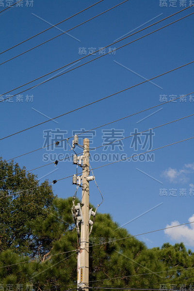 电线