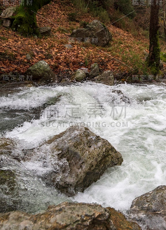 在希腊的埃维亚岛，山区湍急的河流和清澈的水在森林里的山区Dirfys