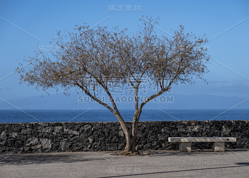 海滨长廊与树木在阿尔卡拉特内里费西班牙