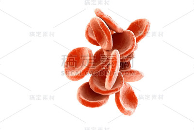 红细胞在白色背景下分离。