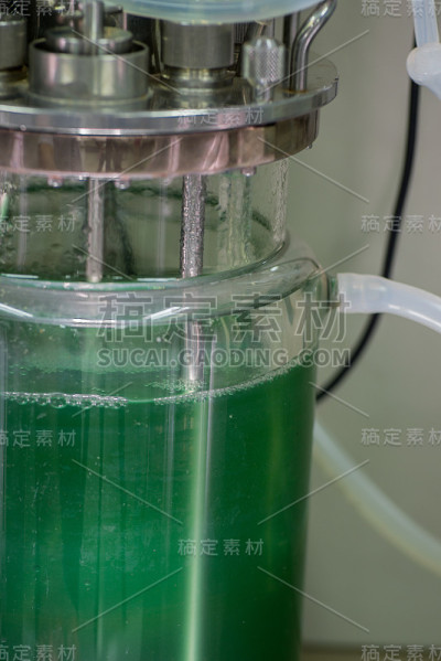 实验室用带管玻璃烧杯装置