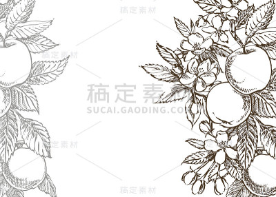 向量卡春天。黑色和白色盛开的苹果树枝。