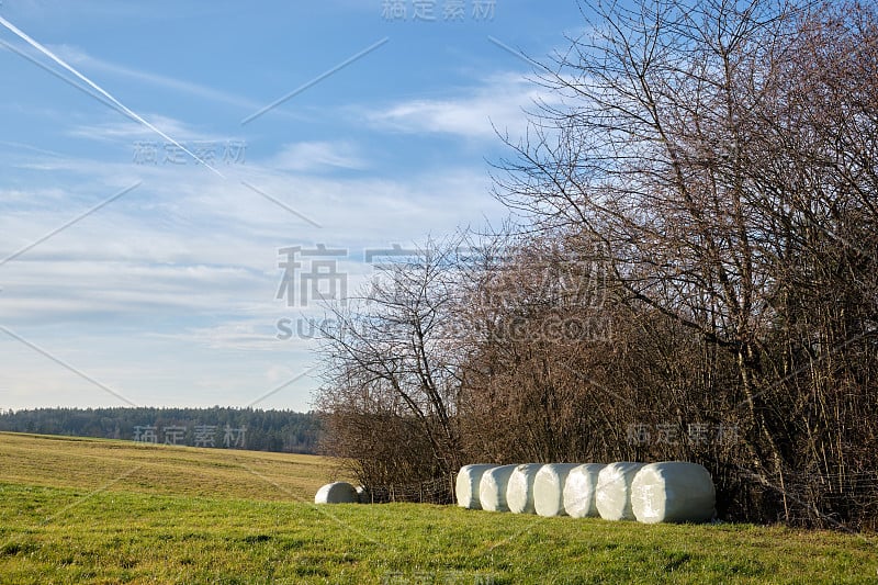 美丽的农业景观与干草包裹在塑料