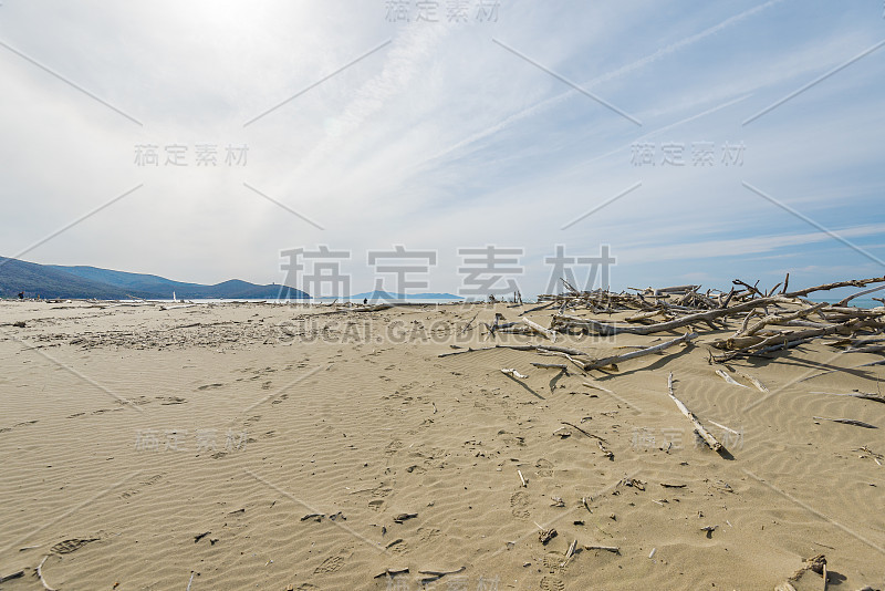 近海岸沼泽地公园海滩