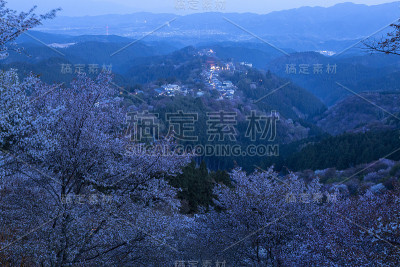Yoshinoyama夜景