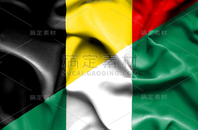 挥舞着尼日利亚和比利时国旗