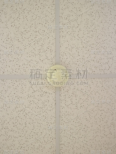 带传感器的假天花板