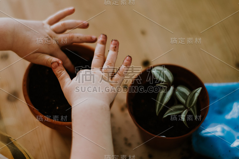 孩子拿着植物