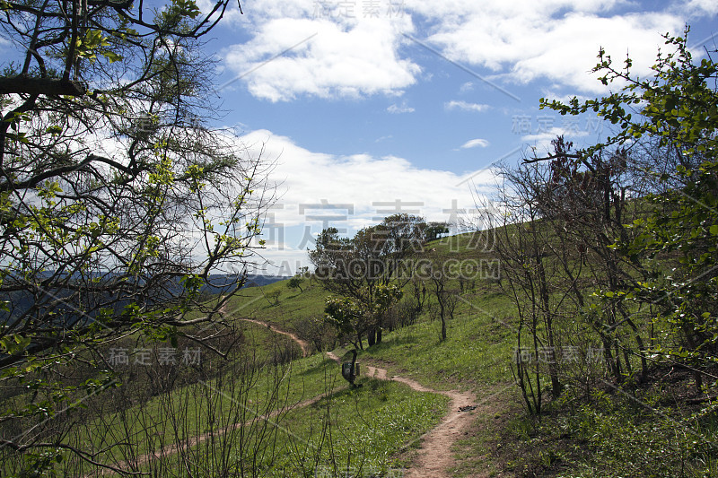 蜿蜒在自然保护区山坡上的土路